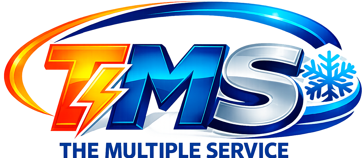 Logo TMS Multiple Service
